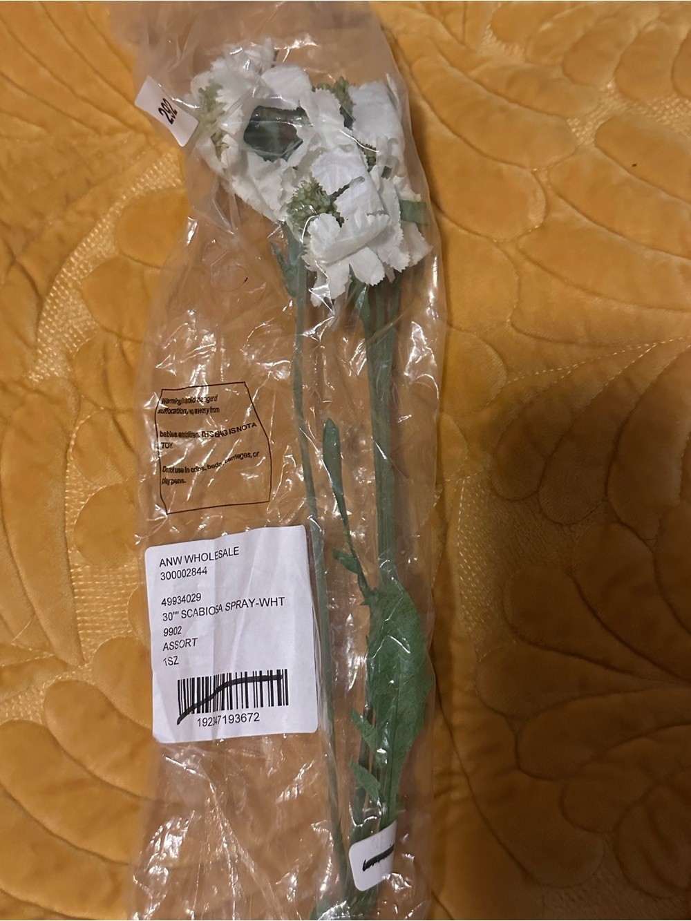 terrain 30" scabiosa spray white Anthropologie